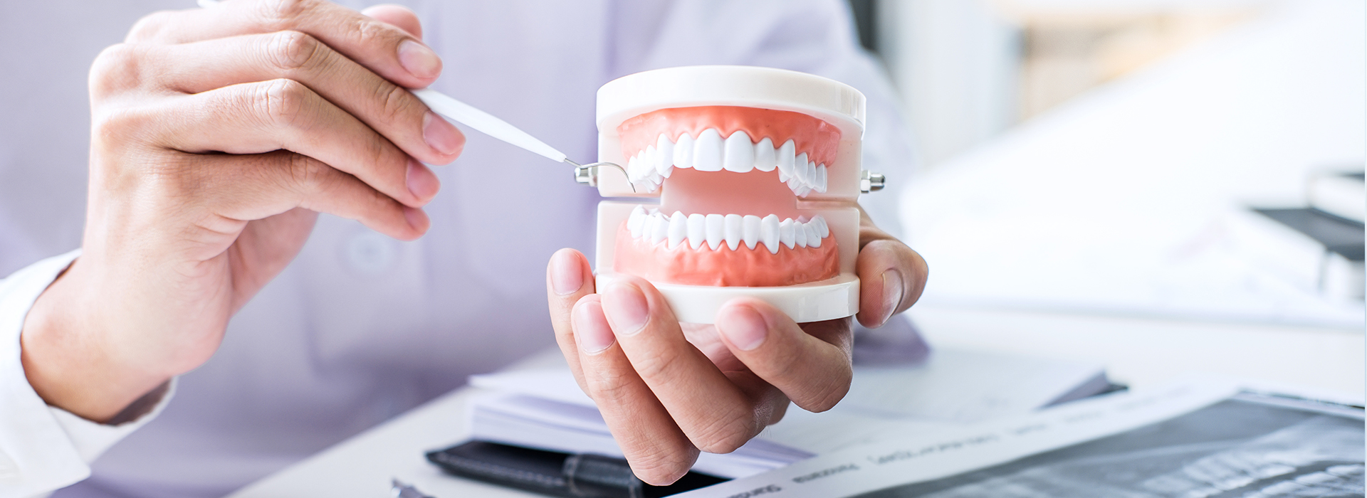 A dental hygienist holding a cup with a tooth model inside, examining it closely while seated at a desk.